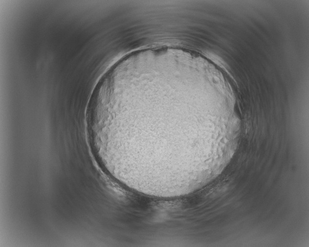 X0000062171047200512301640