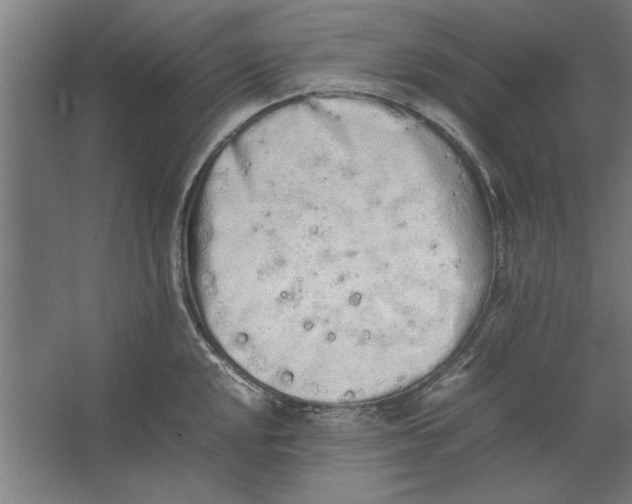 X0000062171048200512301640