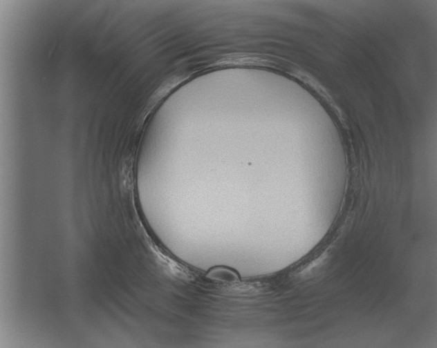 X0000062171049200512301640