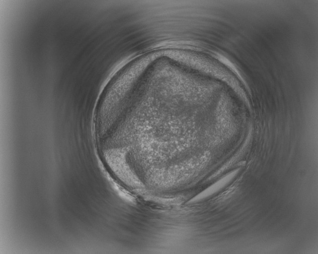 X0000062171050200512301640