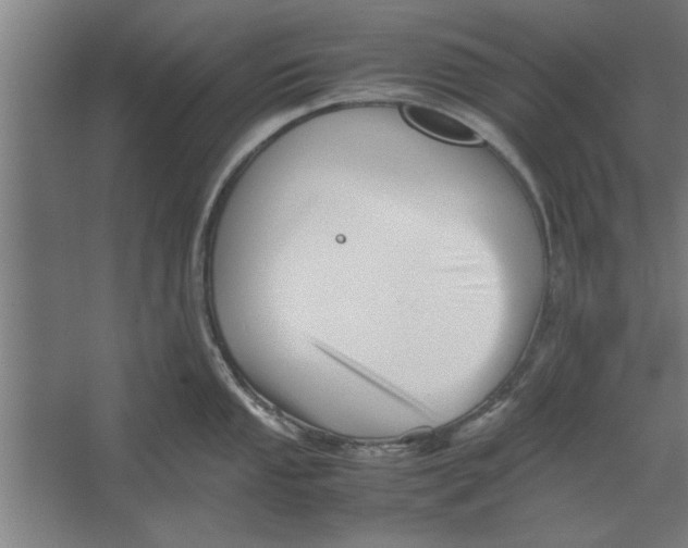 X0000062171053200512301640