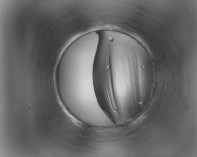 X0000062171054200512301640