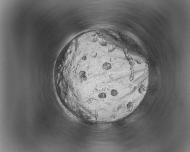 X0000062171055200512301640