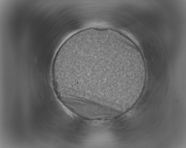 X0000062171056200512301640