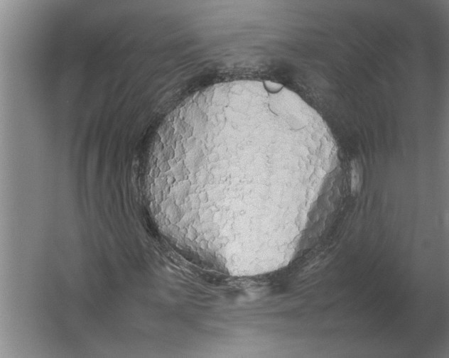 X0000062171059200512301639