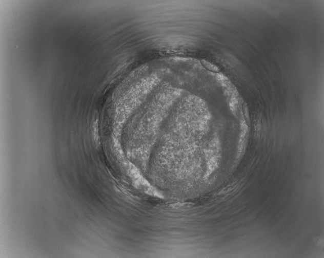 X0000062171060200512301639