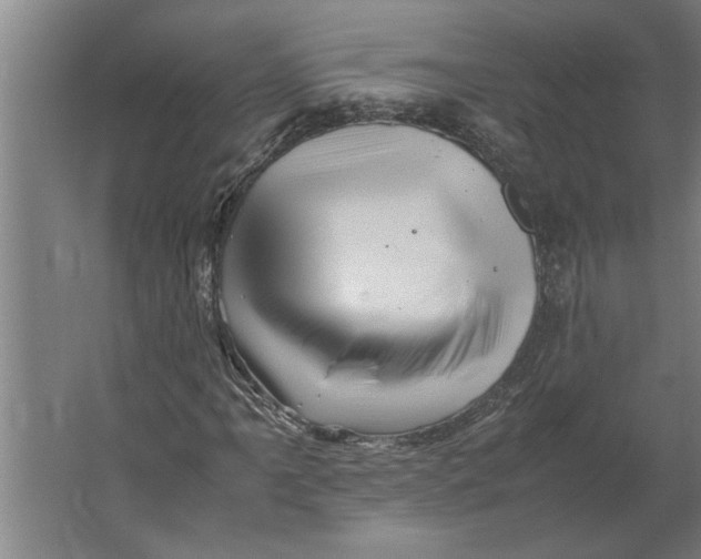 X0000062171061200512301639