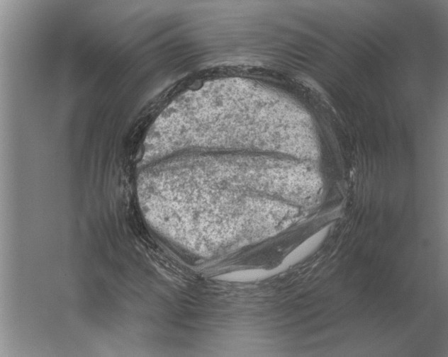 X0000062171064200512301639