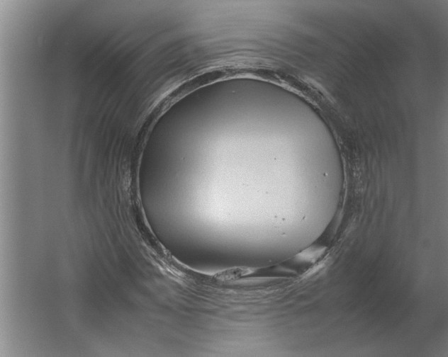 X0000062171065200512301639