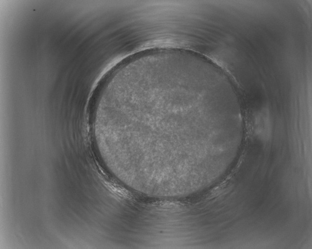 X0000062171070200512301639