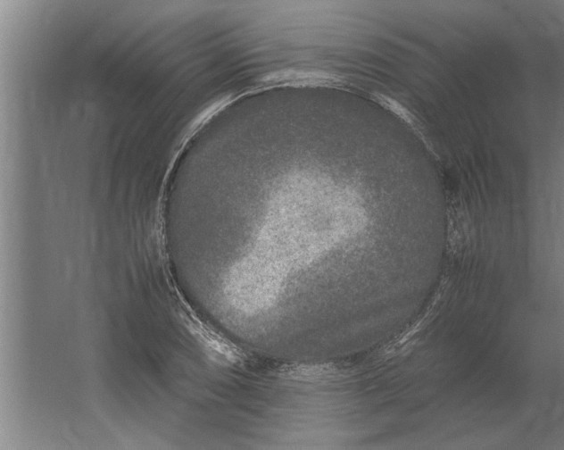 X0000062171074200512301639