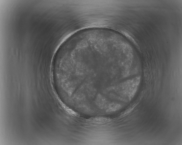 X0000062171077200512301639