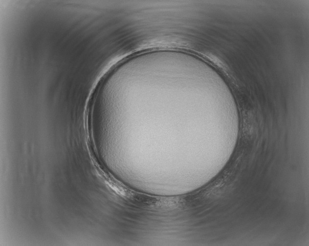 X0000062171078200512301639