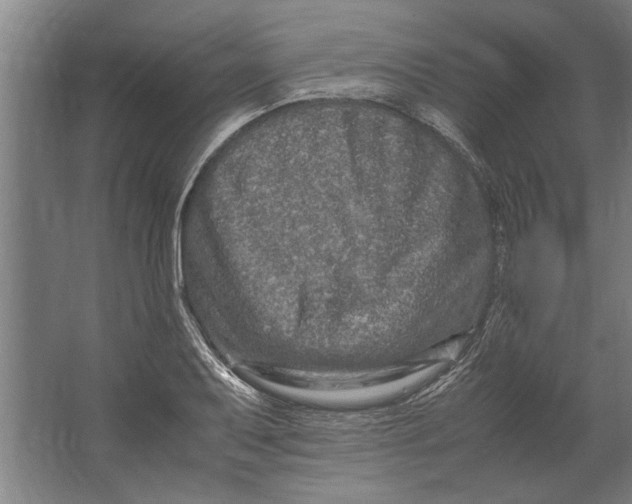 X0000062171079200512301639