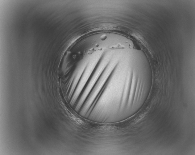 X0000062171081200512301639