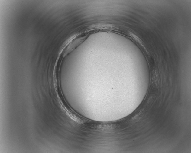 X0000062171082200512301639