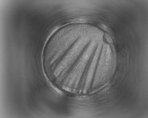 X0000062171083200512301639