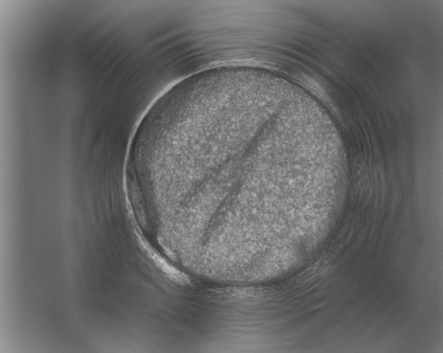 X0000062171084200512301639