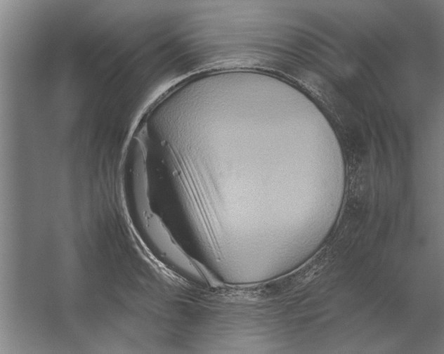 X0000062171086200512301639