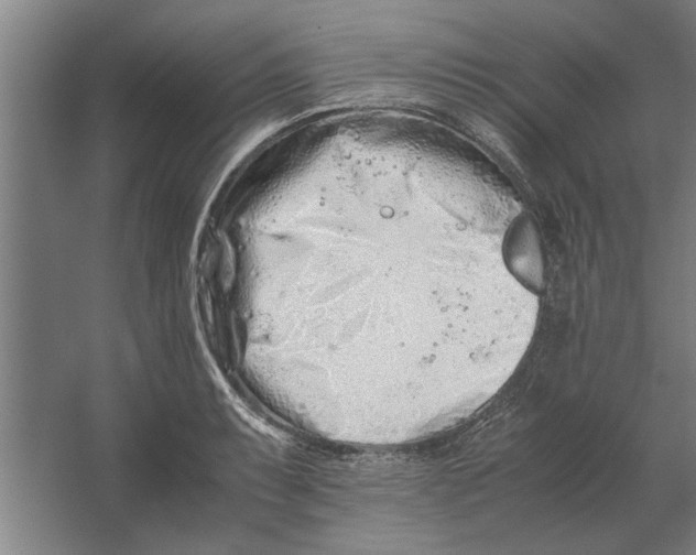 X0000062171087200512301639