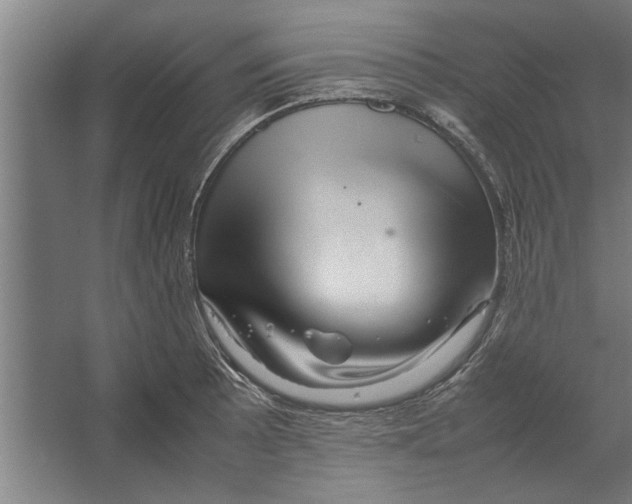 X0000062171089200512301639