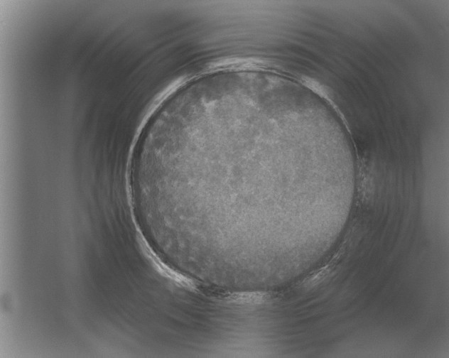 X0000062171090200512301639