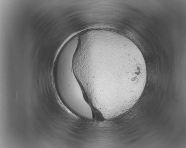 X0000062171092200512301639