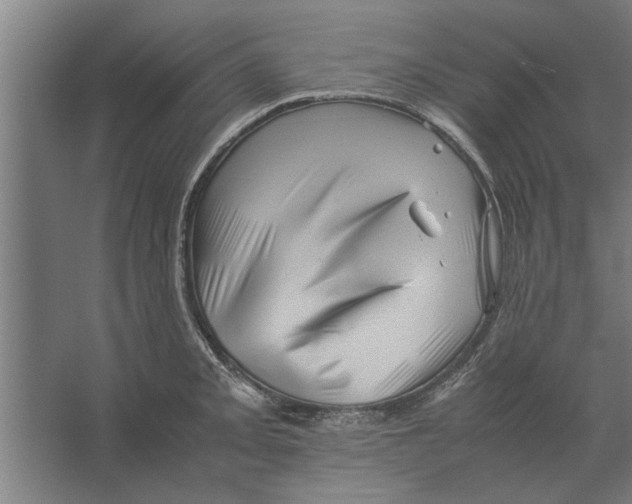 X0000062171093200512301639