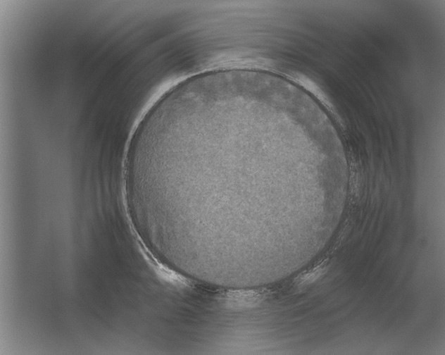 X0000062171094200512301639