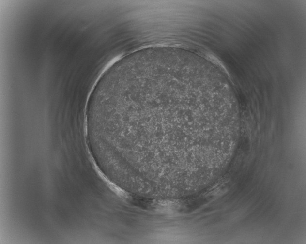 X0000062171095200512301639