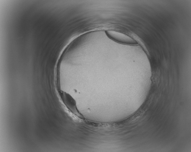 X0000062171099200512301639