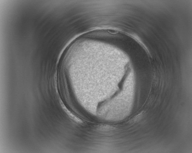 X0000062171100200512301639