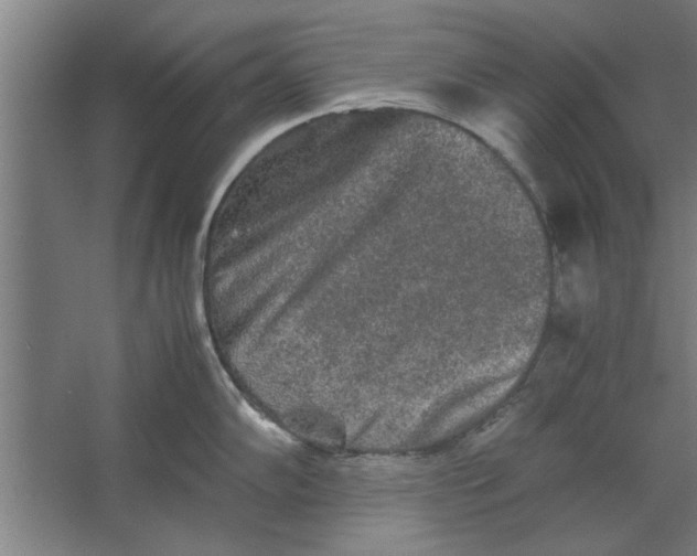 X0000062171102200512301639