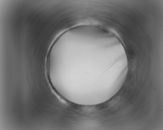 X0000062171103200512301639