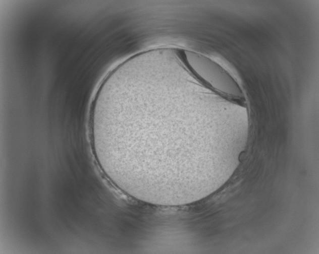 X0000062171104200512301639