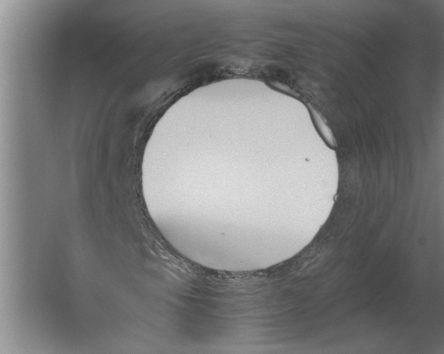 X0000062171105200512301638