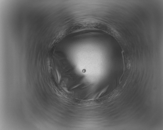 X0000062171108200512301638