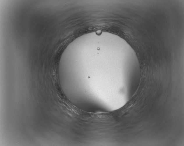 X0000062171109200512301638