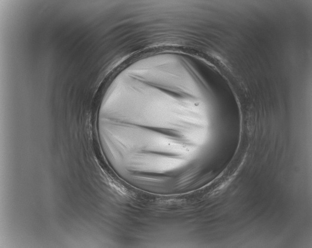 X0000062171113200512301638