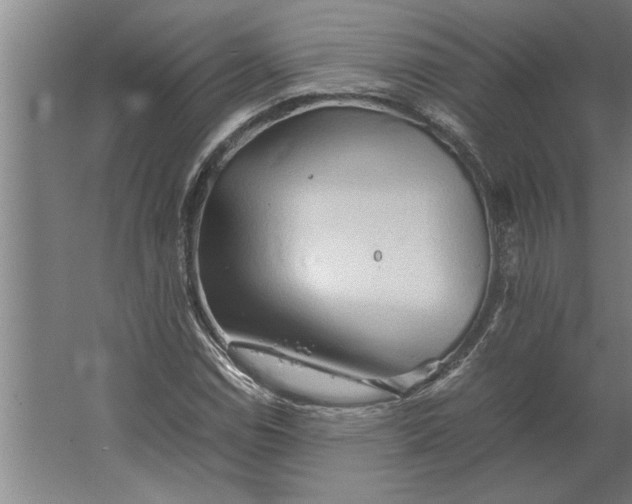 X0000062171114200512301638