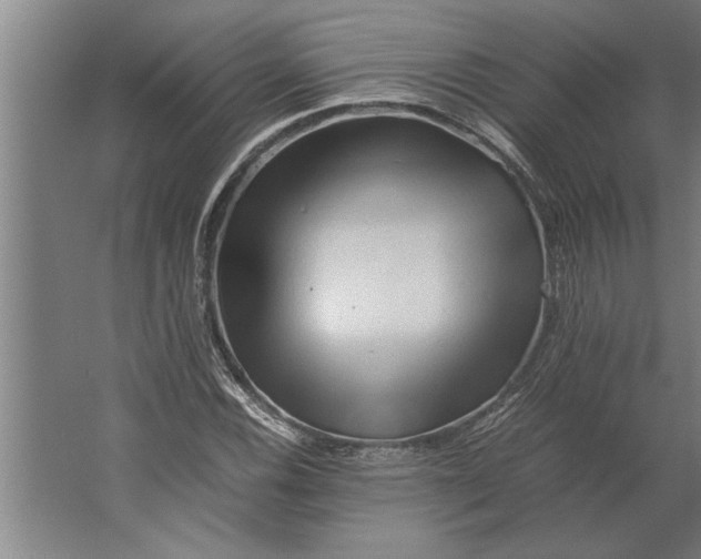 X0000062171116200512301638