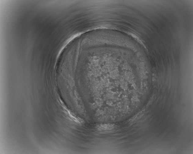 X0000062171117200512301638