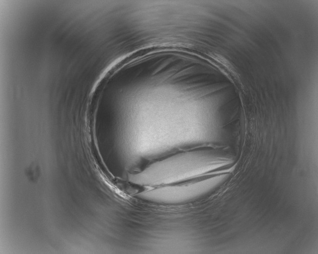 X0000062171120200512301638