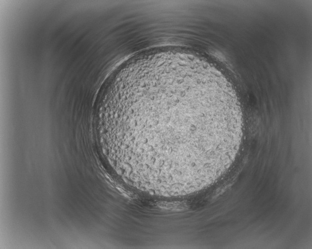 X0000062171121200512301638