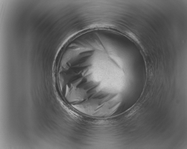 X0000062171124200512301638