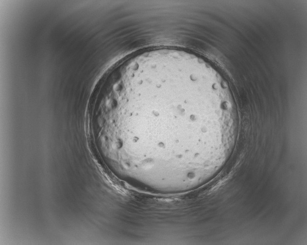 X0000062171125200512301638