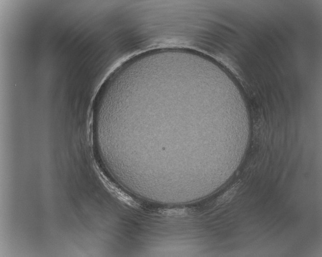 X0000062171126200512301638