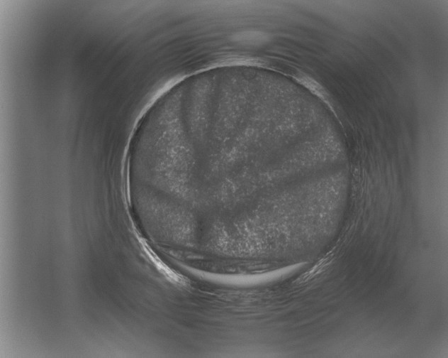 X0000062171127200512301638