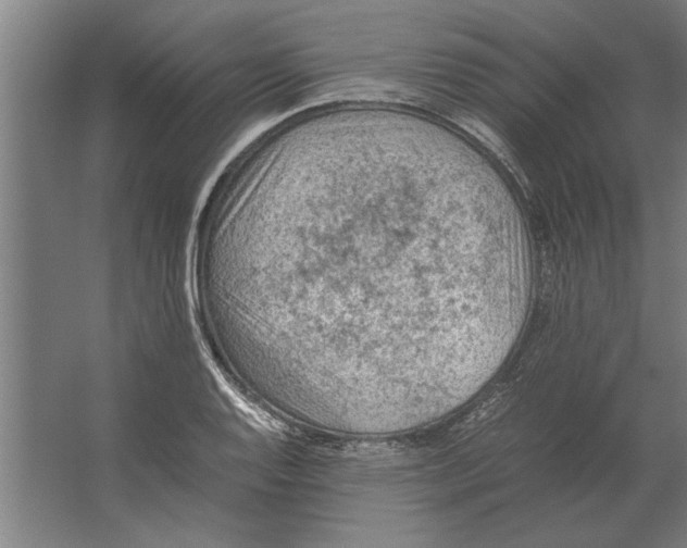 X0000062171128200512301638