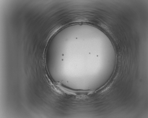 X0000062171129200512301638